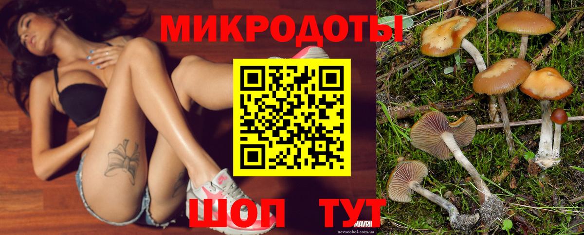 Волжск  Галлюциногенные грибы Psilocybine cubensis  Галлюциногенные грибы Cubensis  купить наркотик  Вход с VPN 