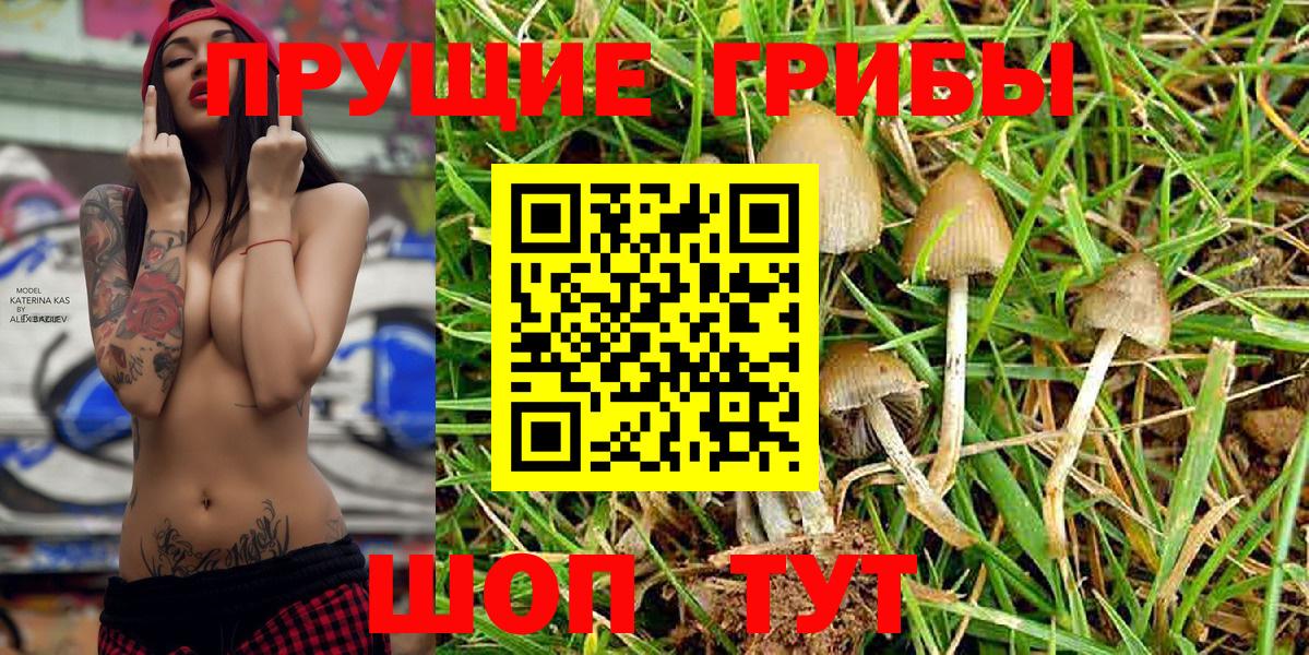 Псилоцибиновые грибы Magic Shrooms Волжск